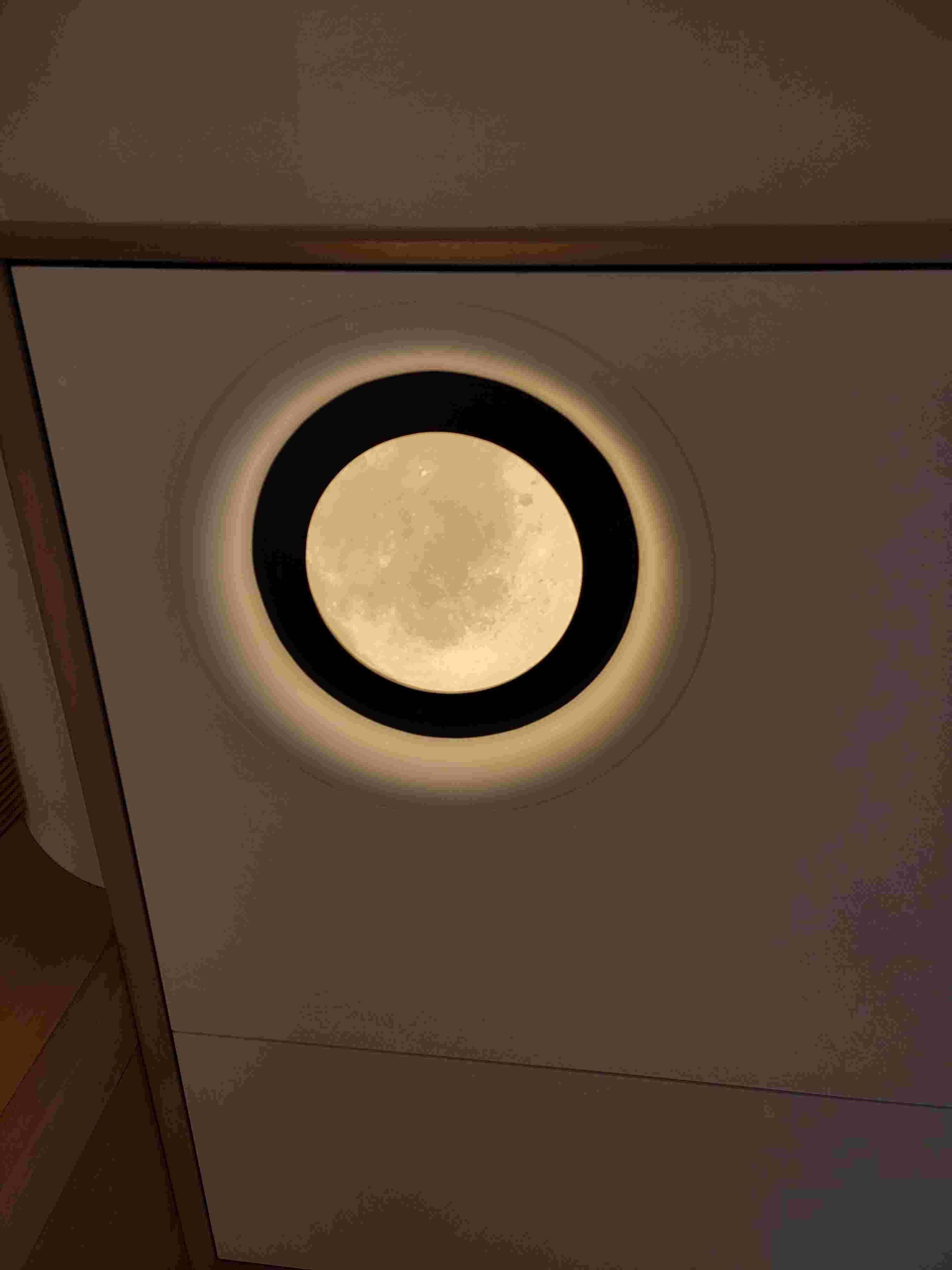 空(kōng)間(jiān)之翼