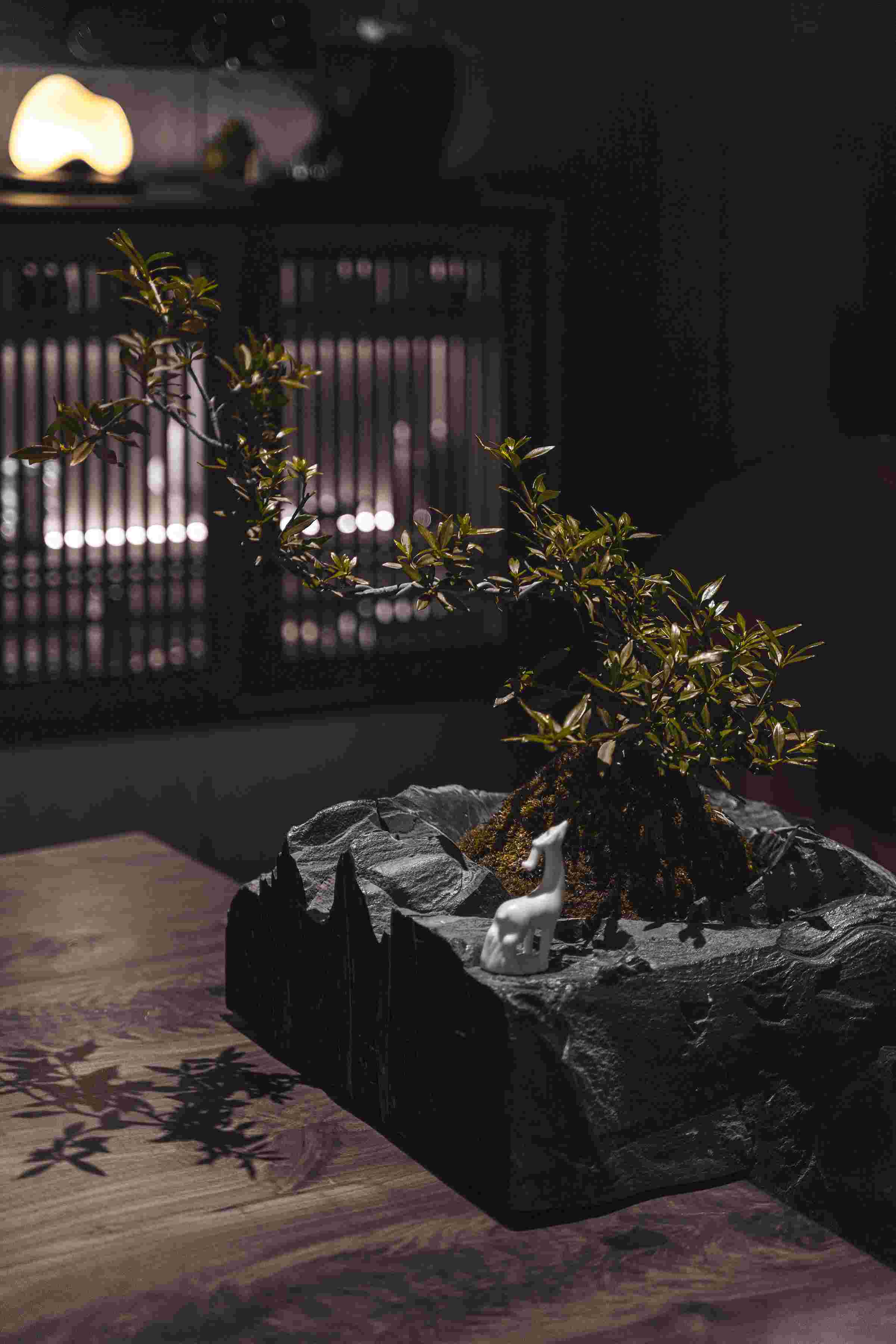 空(kōng)間(jiān)之翼