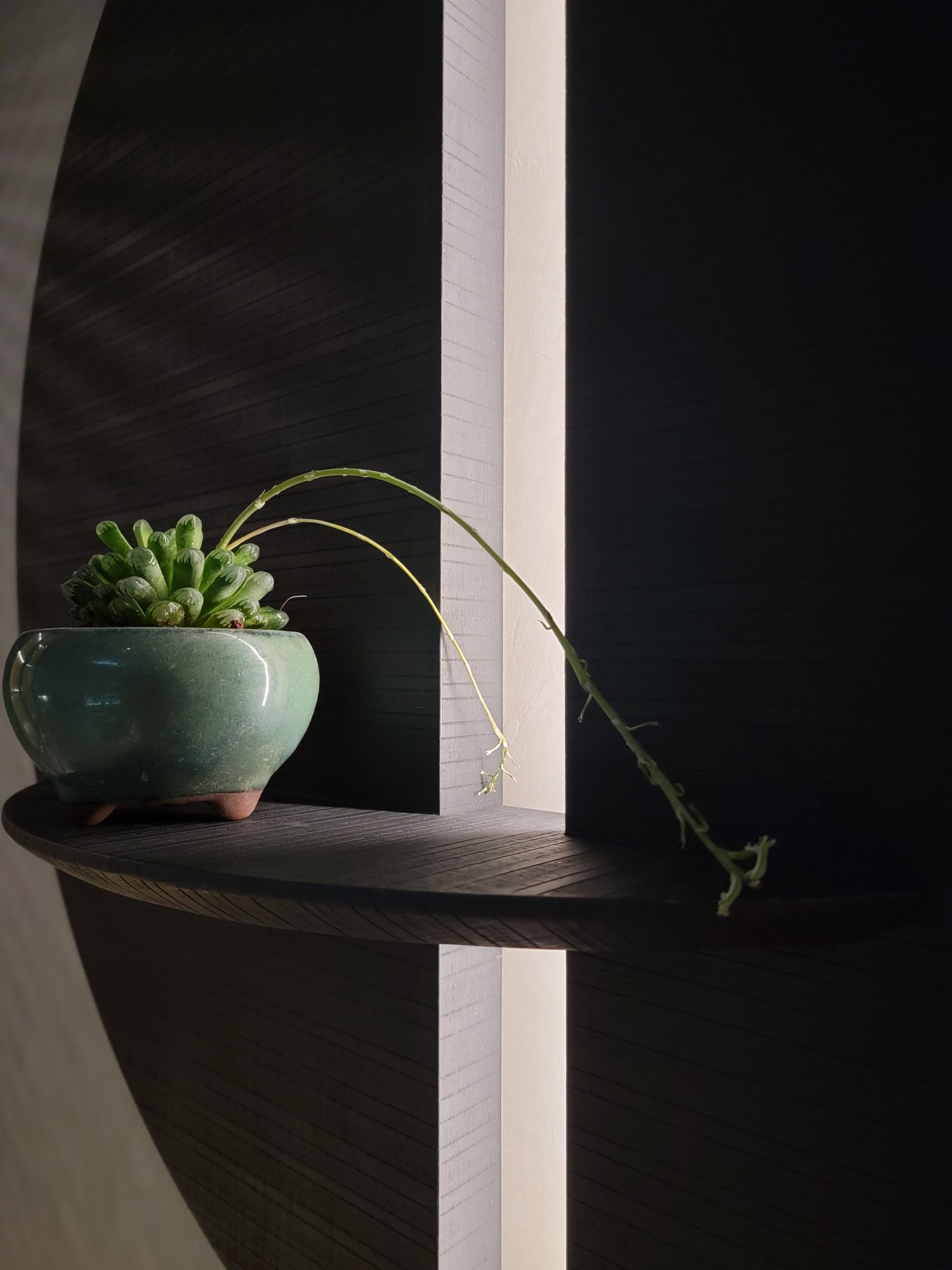 空(kōng)間(jiān)之翼